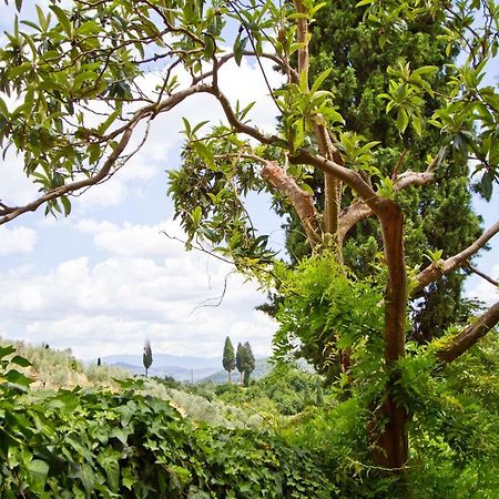 Tuscan Sun Villa フィレンツェ エクステリア 写真